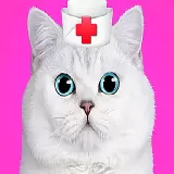 Cat Pet Doctor Dentist