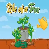 Life of a Tree