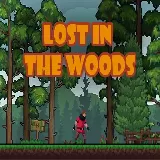 Lost in the Woods